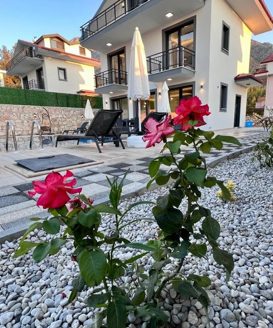 Villa Ask Φετιγιέ